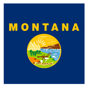 Montana flag icon