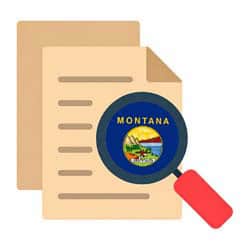 MT Review Icon